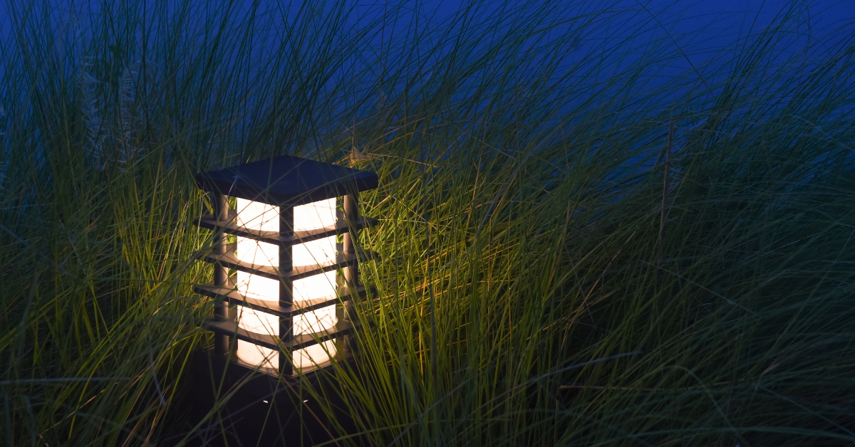 Common Landscape Lighting Areas