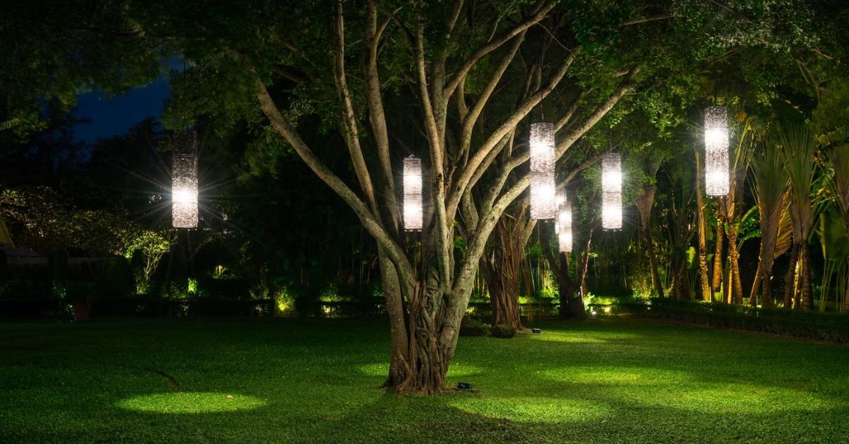 Need Outdoor Lighting